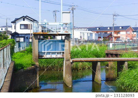 埼玉県八潮市葛西用水沿い2025年9月 131128093