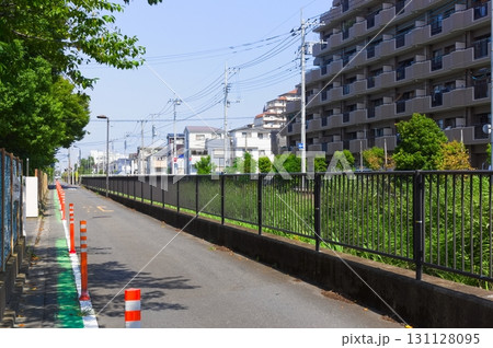 埼玉県八潮市葛西用水沿い2025年9月 埼玉県八潮市葛西用水沿い2025年9月 131128095