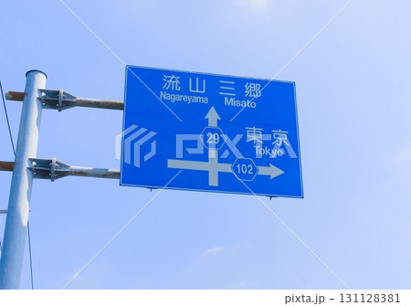 流山三郷東京の青看板 131128381