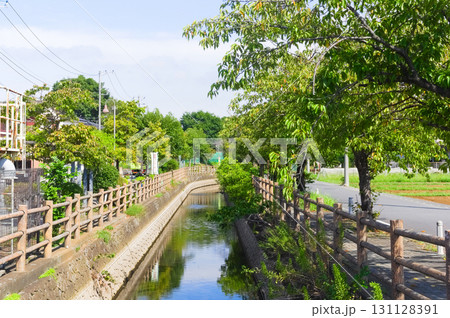 埼玉県越谷市八条用水沿い2025年9月 埼玉県越谷市八条用水沿い2025年9月 131128391