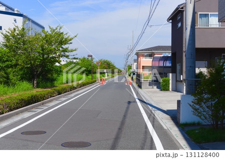 埼玉県越谷市八条用水沿い2025年9月 131128400