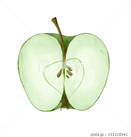 A beautifully Sliced Green Apple Illustration designed for Fresh Fruit and Culinary Concepts 131128541