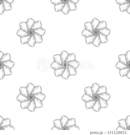 An Elegant Floral Pattern that Stands Out Beautifully Against a White Background 131128651