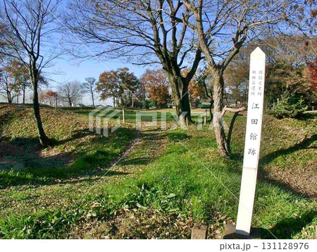 ①江田館跡 出入口｢本塁｣から北を望む(2010.12.5) 紅葉が残り映える 季節は冬の日 131128976