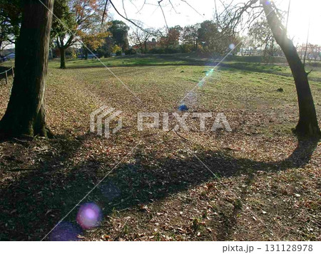 ③北東の角｢1塁｣から出入口の南方向を振り返る(2010.12.5) 季節は冬色 131128978