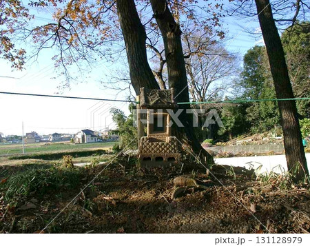 ④江田館跡 北西の角｢2塁｣にある祠(2010.12.5) 季節は冬 紅葉が館跡に残り歴史を重ねる 131128979