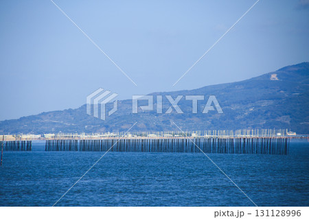 熊本県宇土市 海苔の養殖風景 熊本県宇土市 海苔の養殖風景 131128996