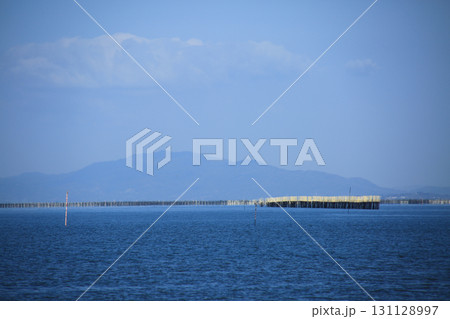熊本県宇土市 海苔の養殖風景 熊本県宇土市 海苔の養殖風景 131128997