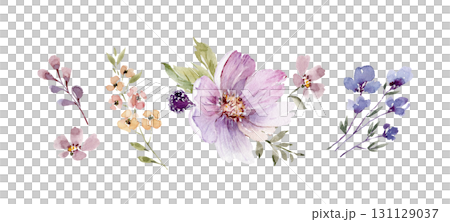 Botanical watercolor set of flowers and plants. Hand-drawn illustration. 131129037