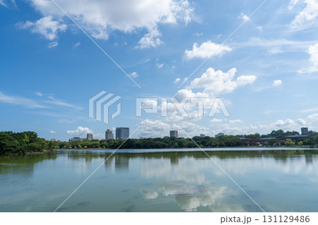 静寂の大濠公園 131129486