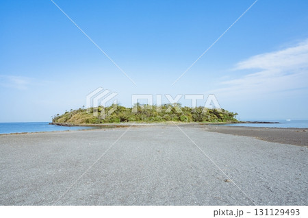 千葉 沖ノ島(館山市) 千葉 沖ノ島(館山市) 131129493
