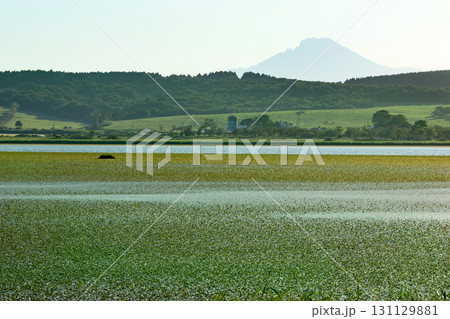道北のビュースポット兜沼　豊富町の見どころ　兜沼公園 131129881