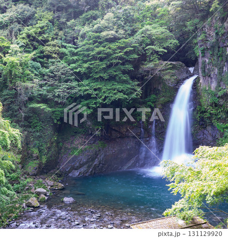 絶景河津七滝 131129920