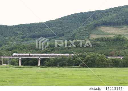 狩勝峠を駆ける特急おおぞら　おおぞら　根室本線　石勝線　キハ261 131131334