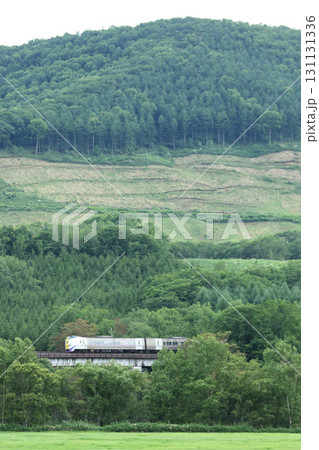 狩勝峠を駆ける特急おおぞら　特急とかち　おおぞら　根室本線　石勝線　キハ261 131131336