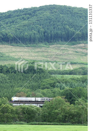 狩勝峠を駆ける特急おおぞら　特急とかち　おおぞら　根室本線　石勝線　キハ261 131131337
