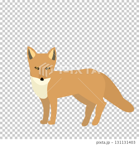 かわいいキツネのイラスト 131131403