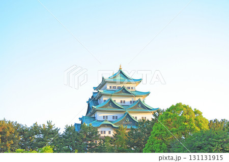 愛知県名古屋市、春の名古屋城の風景 131131915