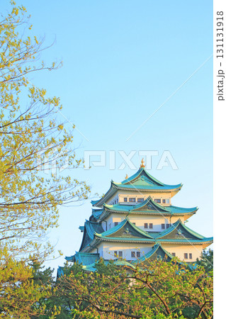 愛知県名古屋市、春の名古屋城の風景 131131918