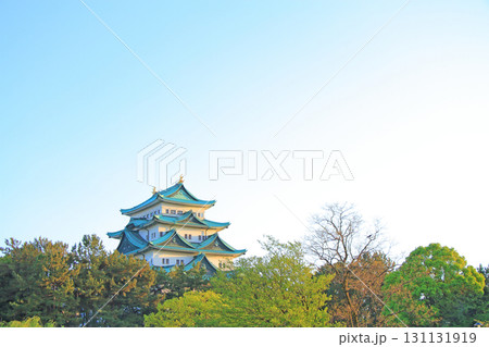 愛知県名古屋市、春の名古屋城の風景 131131919
