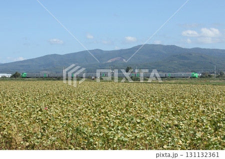 実りの空知エリアを疾走する特急ライラック 特急ライラック 実りの空知エリアを疾走する特急ライラック 特急ライラック 131132361