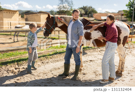 Man, woman and boy stroking and combing horse 131132404