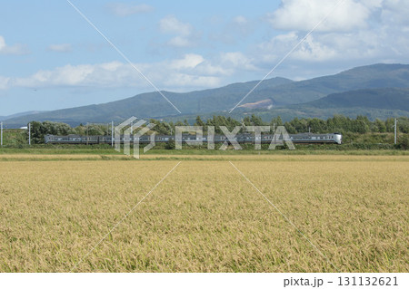 実りの空知エリアを疾走する特急カムイ　カムイ　函館本線 131132621