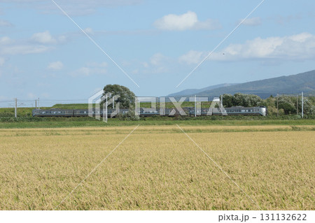 実りの空知エリアを疾走する特急カムイ　カムイ　函館本線 131132622