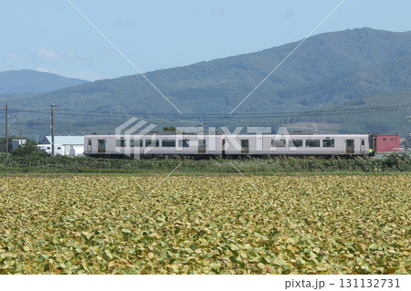 函館本線 JR函館本線 普通列車 普通電車 普通 函館本線 JR函館本線 普通列車 普通電車 普通 131132731