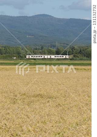 函館本線 JR函館本線 普通列車 普通電車 普通 函館本線 JR函館本線 普通列車 普通電車 普通 131132732