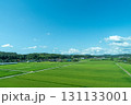 宇部市に広がる畑 131133001