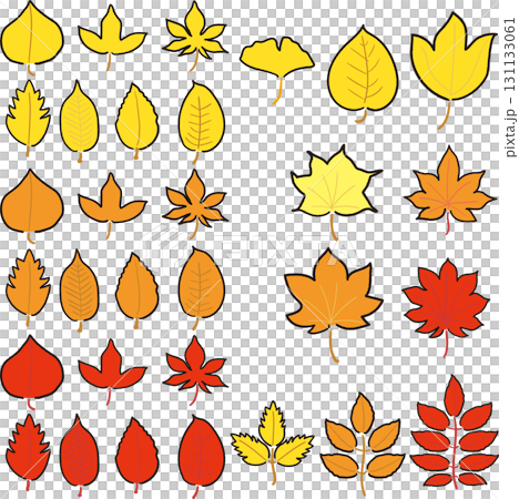Autumn maple leaves set Autumn maple leaves set 131133061