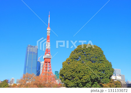 東京都港区、東京タワーの風景 131133072