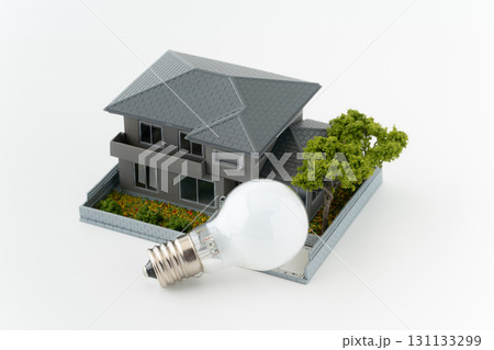 白背景にミニチュアの一戸建ての家と電球 白背景にミニチュアの一戸建ての家と電球 131133299