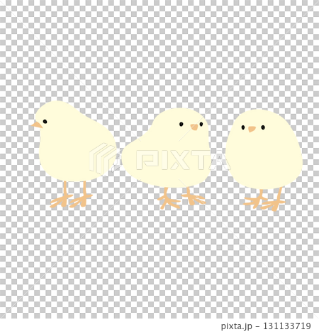 かわいいひよこ3羽のベクターイラスト かわいいひよこ3羽のベクターイラスト 131133719