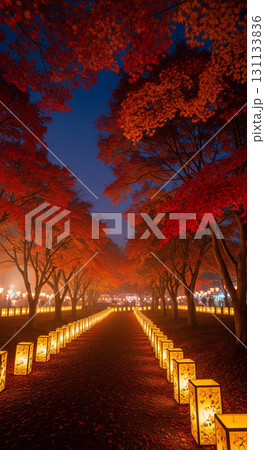 紅葉に包まれた灯籠の並ぶ小径 紅葉に包まれた灯籠の並ぶ小径 131133836
