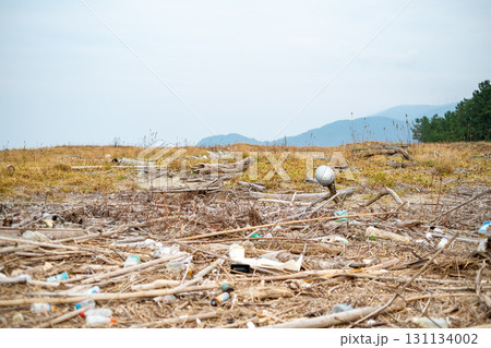 海岸に打ち上げられたゴミ 131134002