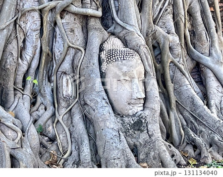 世界遺産「古都アユタヤ」で最も有名なワット・マハタート 131134040