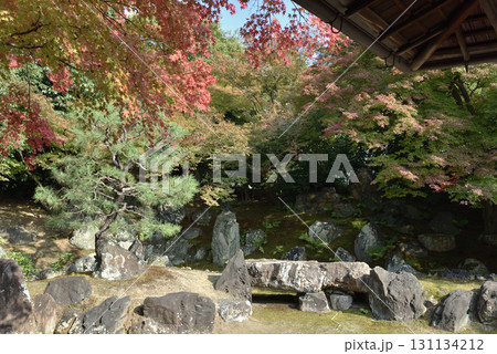 圓徳院　秋の北庭(京都市東山区) 131134212