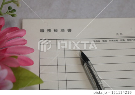 職務経歴書とペン 131134219