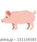 切り絵風の豚 切り絵風の豚 131134383
