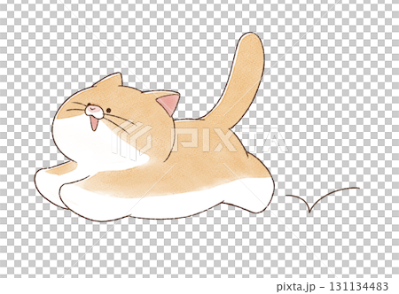 ご機嫌に走る猫 131134483