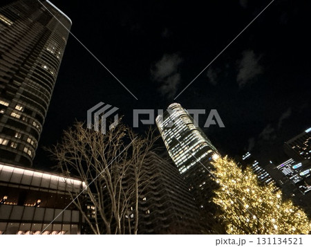 東京の夜景とクリスマスツリーのイルミネーション 131134521