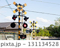 踏切の信号機と青空 131134528