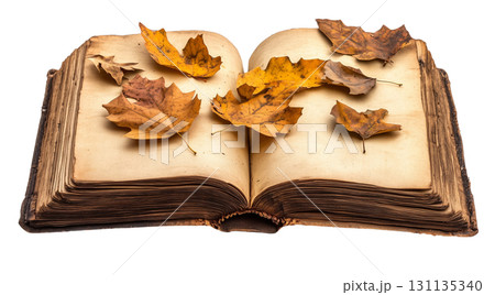Autumn leaves on an open book, created with AI, PNG 131135340