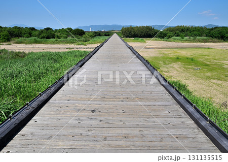 京都　上津屋橋（こうづやばし）　撮影で有名な「流れ橋」 131135515
