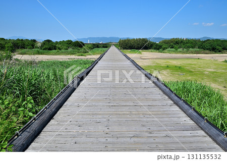 京都　上津屋橋（こうづやばし）　撮影で有名な「流れ橋」 131135532