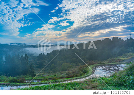 【新潟県】朝霧が発生した秋の星峠の棚田 131135705