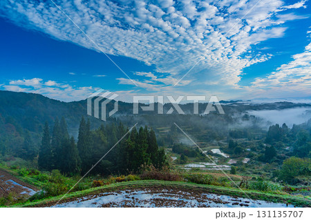【新潟県】朝霧が発生した秋の星峠の棚田 131135707