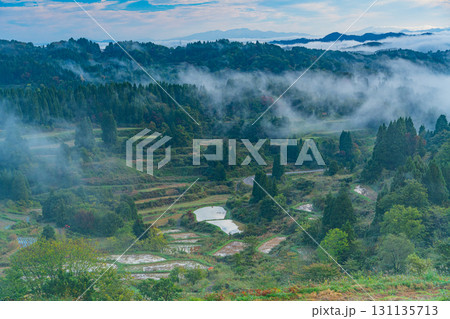 【新潟県】朝霧が発生した秋の星峠の棚田 【新潟県】朝霧が発生した秋の星峠の棚田 131135713